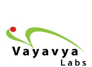 Vayavya Labs