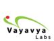 Vayavya Labs