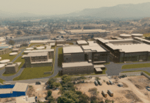 Novonesis
