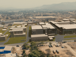 Novonesis