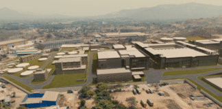 Novonesis